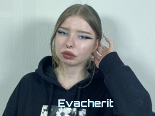 Evacherit