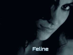 Feline