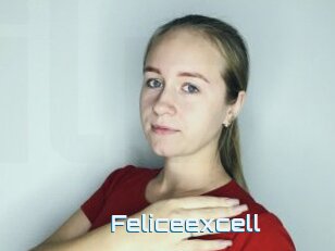 Feliceexcell