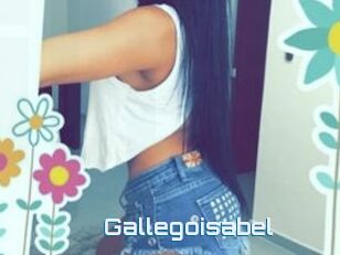 Gallegoisabel