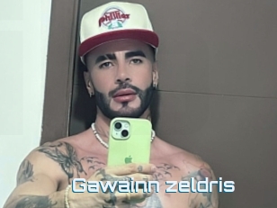 Gawainn_zeldris
