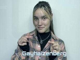 Gayhaizenberg