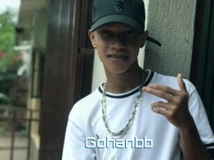 Gohanbb