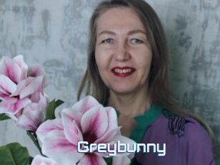 Greybunny