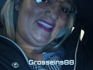Grosseins88