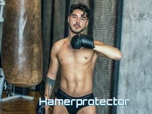 Hamerprotector