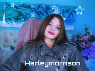 Harleymorrison