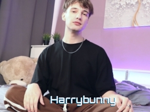 Harrybunny