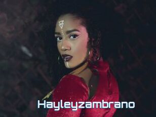 Hayleyzambrano