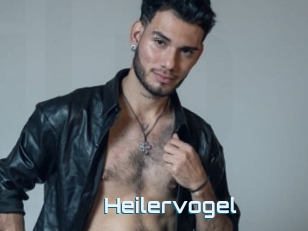 Heilervogel