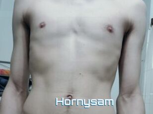 Hornysam