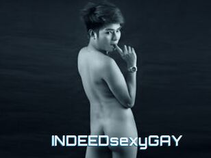 INDEEDsexyGAY