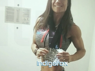 Indigofox