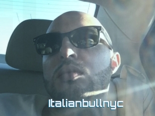 Italianbullnyc