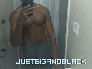 JUSTBIGANDBLACK