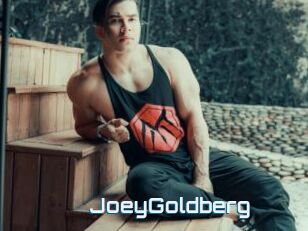 JoeyGoldberg