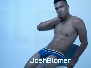 JoshBlomer
