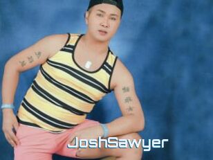 JoshSawyer