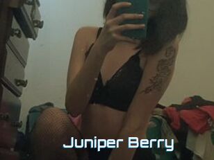 Juniper_Berry