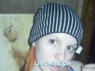 Jackalope