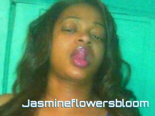 Jasmineflowersbloom