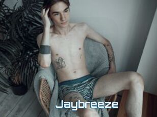 Jaybreeze