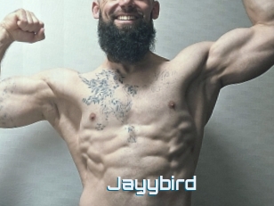 Jayybird