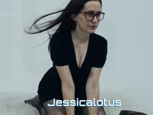 Jessicalotus