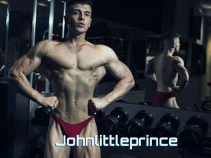 Johnlittleprince