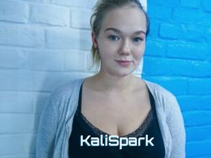 KaliSpark