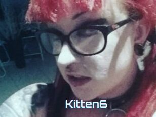 Kitten6