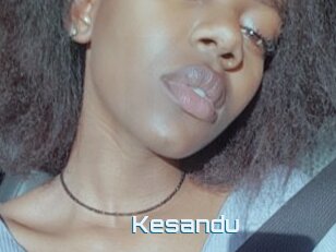 Kesandu