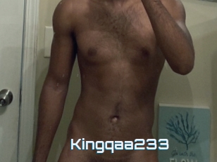 Kingqaa233