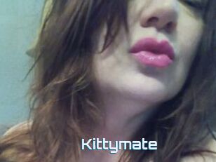 Kittymate