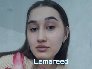 Lamareed