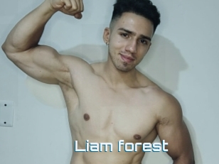 Liam_forest