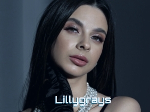 Lillygrays