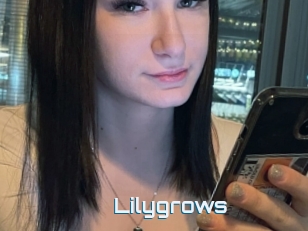 Lilygrows