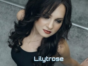 Lilytrose
