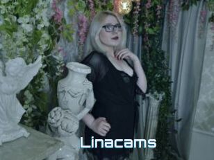 Linacams