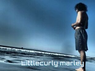 Littlecurly_marley