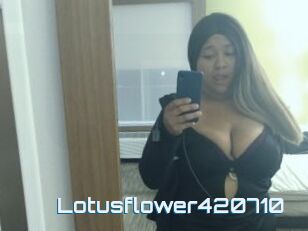 Lotusflower420710