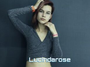 Lucindarose