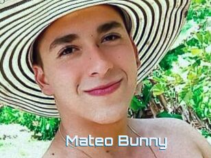 Mateo_Bunny
