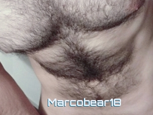 Marcobear18