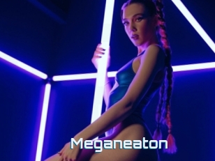 Meganeaton