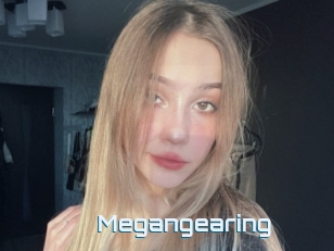 Megangearing