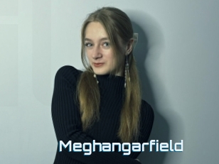 Meghangarfield