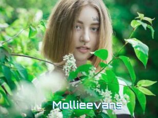 Mollieevans