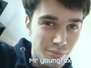 Mr_youngfox